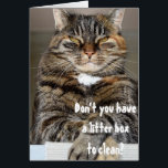 Judmental Cat Angry Clean Litter Box Funny Humor<br><div class="desc">Dit kattenwenskaart kan worden gepersonaliseerd door de aanpassingsknoop te klikken en uw eigen tekst toe te voegen. Neem contact met me op colorflowcreations@gmail.com als je dit ontwerp op een ander product wilt gebruiken. Koop mijn oorspronkelijke abstracte acrylschilderij te koop op www.etsy.com/shop/colorflowart. Zie meer van mijn creaties of volg me op...</div>