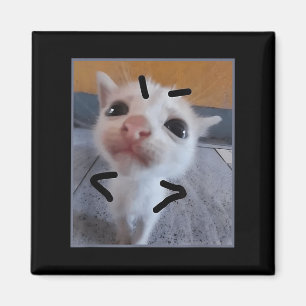 Judy Kat Funny Cat Lover Angry Kitten Meme Cute Magneet