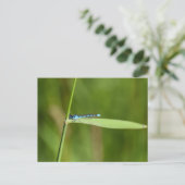 Juffers briefkaart (Staand voorkant)