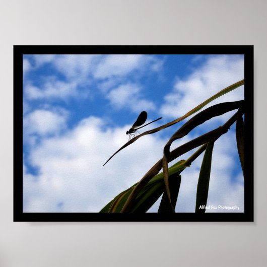 Juffers in Blauwe Lucht Poster (Voorkant)