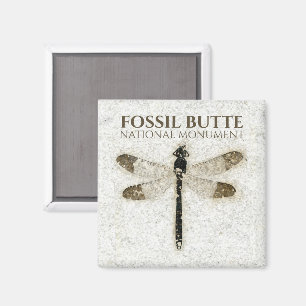 Juffers Libel Fossiel, Fossil Butte NM, Wyoming Magneet