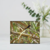 Juffers Tussen de Bamboe Briefkaart (Staand voorkant)
