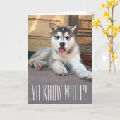 Juffrouw U Alaskan Malamute Puppy Foto Kaart (Gele Bloem)