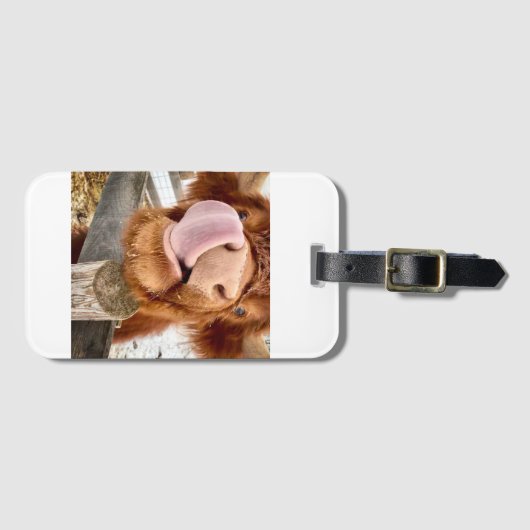 Juggling Daisies Daphne Bagagelabel (Voorkant (horizontaal))