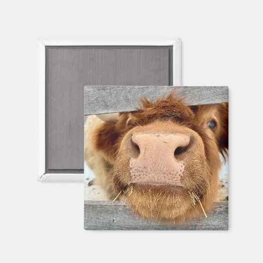 Juggling Daisies Daphne Magnet (Voorkant / Achterkant)