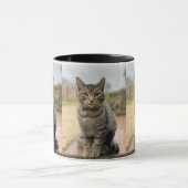 Juggling Daisies Ernest Photo Mok (Midden)