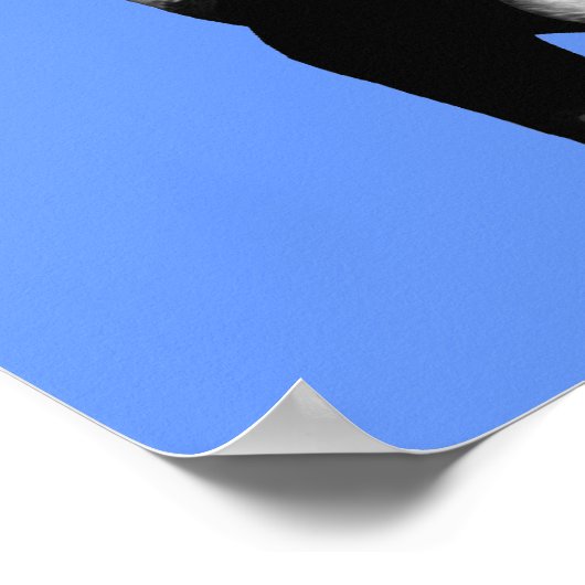 Juggling Panda Kinder Room Specialized Wall Poster (Hoek)