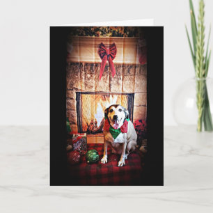 JUICHEN VROLIJK KERSTFEEST / GELUKKIG NIEUWJAAR FEESTDAGEN KAART