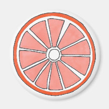 Juicy Florida Oranje Citrus Fruit Slice