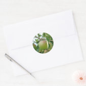 Juicy Green Apple Ronde Sticker (Envelop)