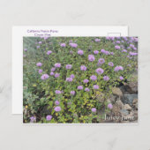 Juicy June Briefkaart (Voorkant / Achterkant)