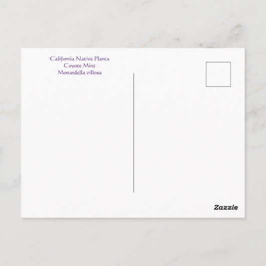 Juicy June Briefkaart (Achterkant)