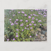 Juicy June Briefkaart (Voorkant)