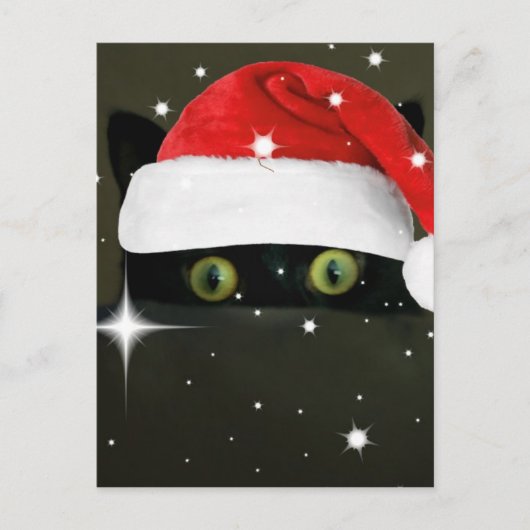 Juicy Lucy Santa Hat Feestdagenkaart (Voorkant)