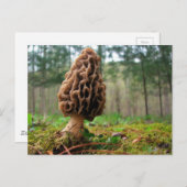 Juicy Morels Briefkaart (Voorkant / Achterkant)