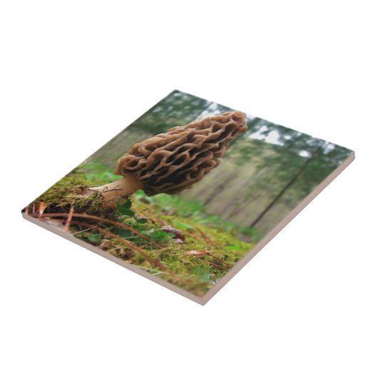 Juicy Morels Tegeltje (Zijkant)