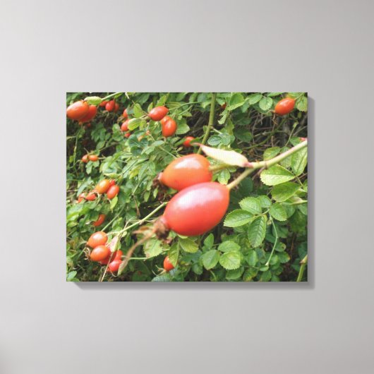Juicy Red Rose Hips Canvas afdrukken (Voorkant)