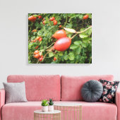Juicy Red Rose Hips Canvas afdrukken (Insitu (Woonkamer))