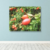 Juicy Red Rose Hips Canvas afdrukken (Insitu (Houten vloer))