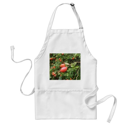 Juicy Red Rose Hips Cooking Apron Standaard Schort (Voorkant)