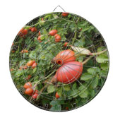 Juicy Red Rose Hips Dart Board Dartbord (Voorkant)