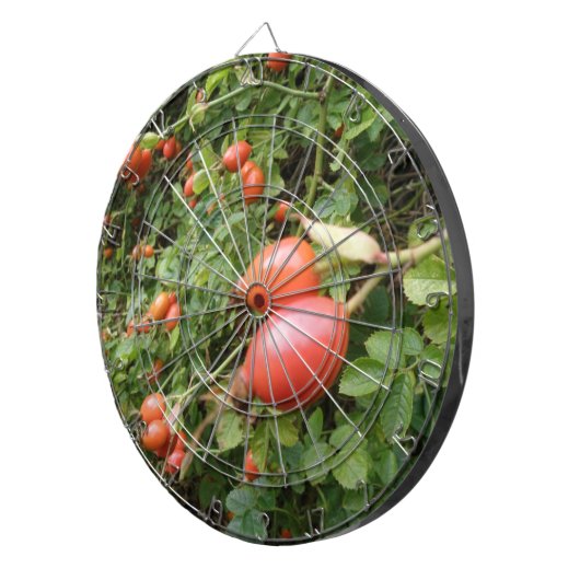 Juicy Red Rose Hips Dart Board Dartbord (Voorkant Rechts)