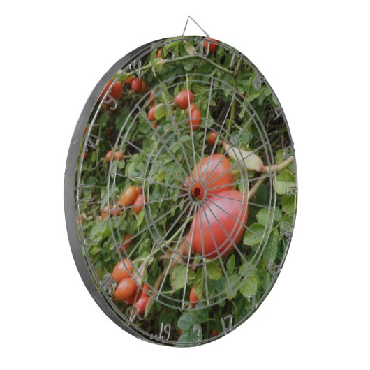 Juicy Red Rose Hips Dart Board Dartbord (Voorkant Links)