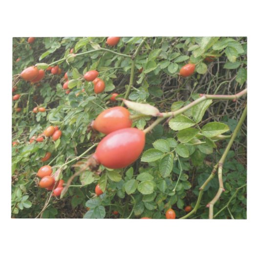 Juicy Red Rose Hips-laptop Notitieblok (Voorkant)