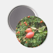 Juicy Red Rose Hips Magnet (Voorkant / Achterkant)