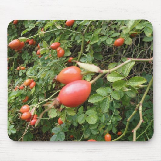 Juicy Red Rose Hips Mousepad Muismat (Voorkant)