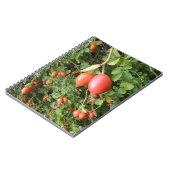 Juicy Red Rose Hips Notitieboek (Linkerzijde)