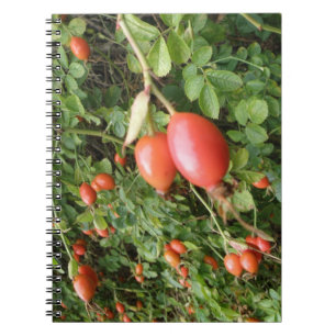 Juicy Red Rose Hips Notitieboek