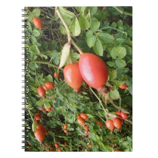 Juicy Red Rose Hips Notitieboek (Voorkant)