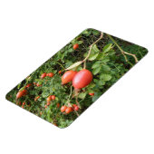 Juicy Red Rose Hips Premium Magnet Magneet (Linkerzijde)