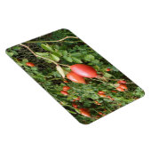 Juicy Red Rose Hips Premium Magnet Magneet (Rechterzijde)