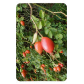 Juicy Red Rose Hips Premium Magnet Magneet (Verticaal)