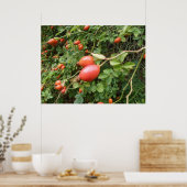 Juicy Red Rose Hips Print (Keuken)