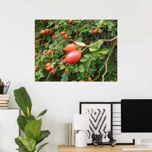 Juicy Red Rose Hips Print (Thuiskantoor)