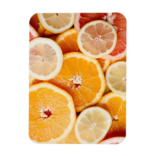 Juicy Sliced Citrus Fruits Magneet (Verticaal)
