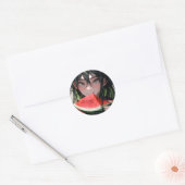 Juicy Summer Watermelon Anime Girl Ronde Sticker (Envelop)