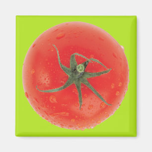 Juicy Tomato Magneet