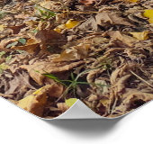 Juist positie van verval en leven poster (Hoek)