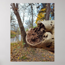 Juist positie van verval en leven poster