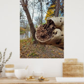 Juist positie van verval en leven poster (Keuken)