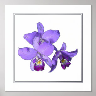 Juist Silver Paars Orchid Group Print Poster