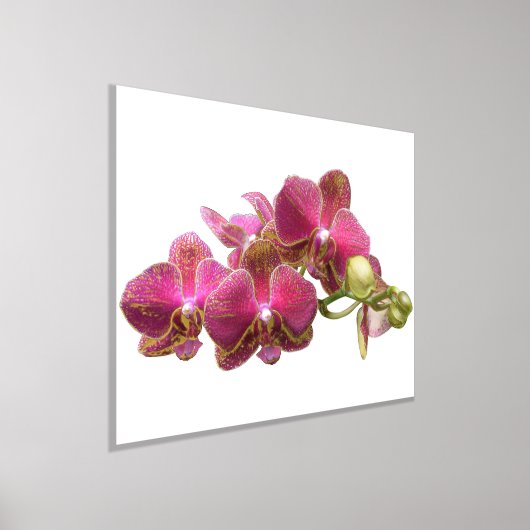 Juiste Folie-accessoires op Red Orchids Print Post (Laagn)