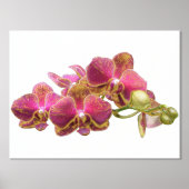 Juiste Folie-accessoires op Red Orchids Print Post (Voorkant)