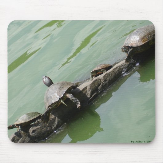 Juiste Tortoise Mousepad Muismat (Voorkant)