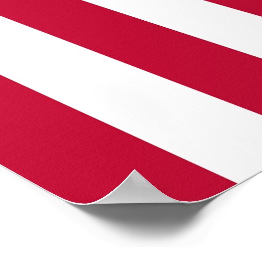 Juiste verticale weergave van de vlag van de Veren Poster (Hoek)