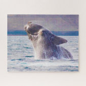 Juiste walvis Jigzaag Puzzle Legpuzzel (Horizontaal)